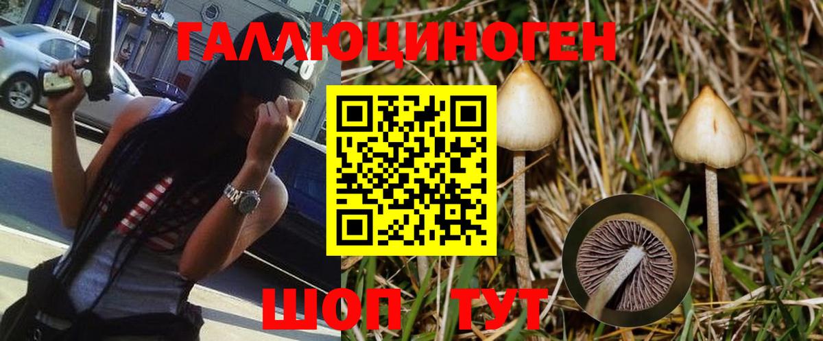 Галлюциногенные грибы Psilocybine cubensis  Вход с VPN  Белореченск 